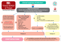 Emergency Department Sepsis Triage Algorithm front page preview
              
