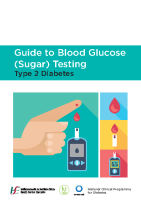 Guide to Blood Glucose Testing front page preview
              