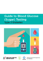 Guide to Blood Glucose Testing image link