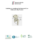 Guidelines to compliment the Integrated Care Pathway for Hip Fracture  front page preview
              