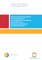 HSE Review of Operation of Programme 2017 front page preview
              