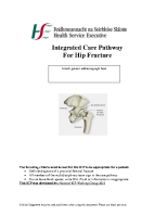 Integrated Care Pathway For Hip Fracture front page preview
              