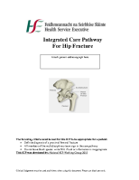Integrated Care Pathway For Hip Fracture image link