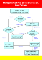 Management of Post-stroke Depression Care Pathway image link