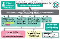 Maternity Sepsis Educational Tool - Credit Card front page preview
              