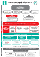 Maternity Sepsis Management Algorithm front page preview
              