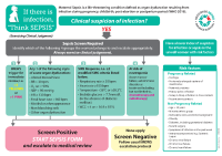 Maternity Sepsis Screening Algorithm front page preview
              