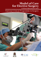 Model of Care for Elective Surgery front page preview
              