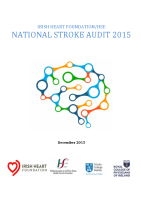 National Stroke Audit 2015 image link