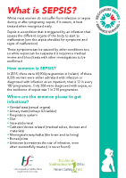 Patient Information Maternity Leaflet front page preview
              