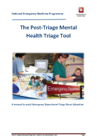 Post-Triage Mental Health Triage Tool front page preview
              