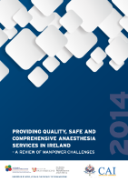 Providing Quality Safe and Comprehensive Anaesthesia Services in Ireland front page preview
              