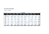 HSE Credit Card Expenditure Jan-Jun 2009 image link