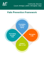 Falls Prevention Framework 2025 (CDLMS Community Services) image link