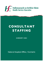 Consultant Staffing 2005 image link