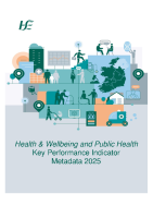 2025 Health and Wellbeing and Public Health Metadata image link