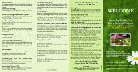 Kerry General Hospital Acute Mental Health Patient Information Leafet image link