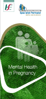 Mental Health in Pregnancy image link