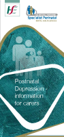 Postnatal Depression - Information for Carers image link