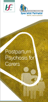 Postpartum Psychosis - information for Carers image link