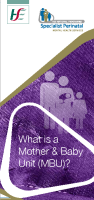 What is a Mother and Baby Unit (MBU) image link