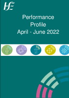 Performance Profile April to June 2022 front page preview
              