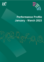 Performance Profile January to March 2023 image link