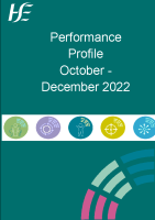 Performance Profile October to December 2022 front page preview
              