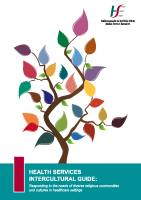 Intercultural Guide image link