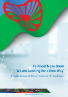 Roma Health Strategy image link