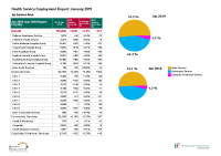 Health Service Employment Report (Jan 2019) front page preview
              