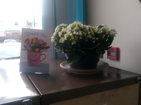 Thank you plant Thank you plant
