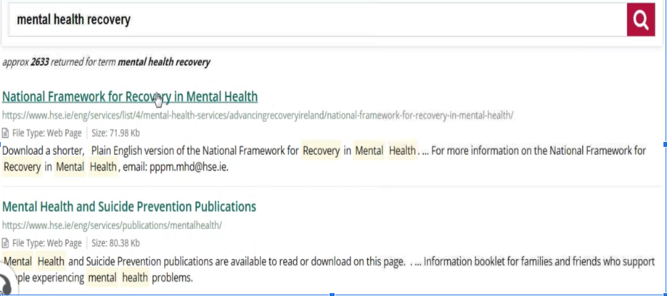 Screenshot of search results page after a user searched for information about mental health recovery