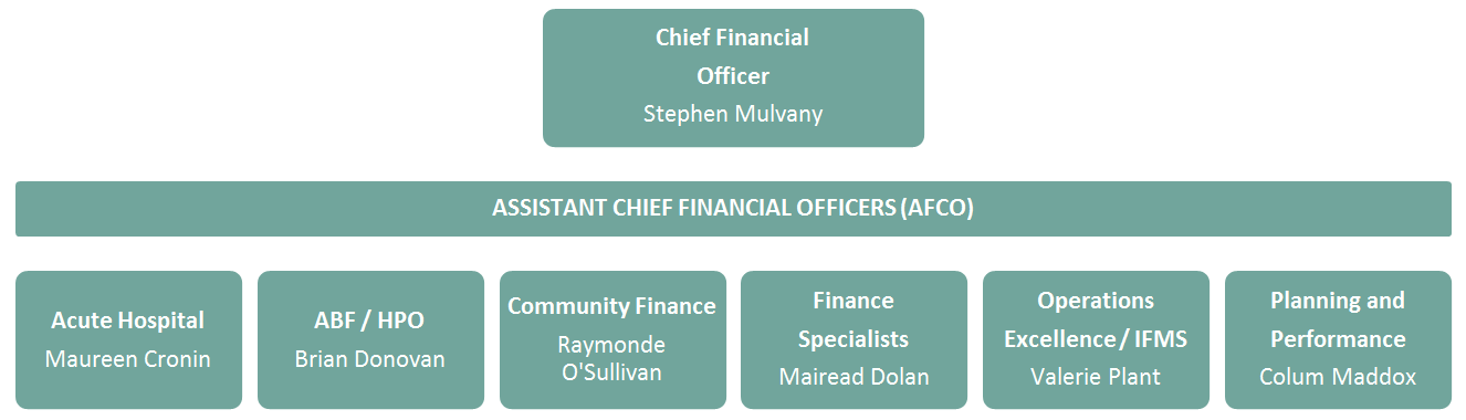 CFO and ACFO Organigram HSE Finance Nov 2019__ CFO and ACFO Organigram HSE Finance Nov 2019__