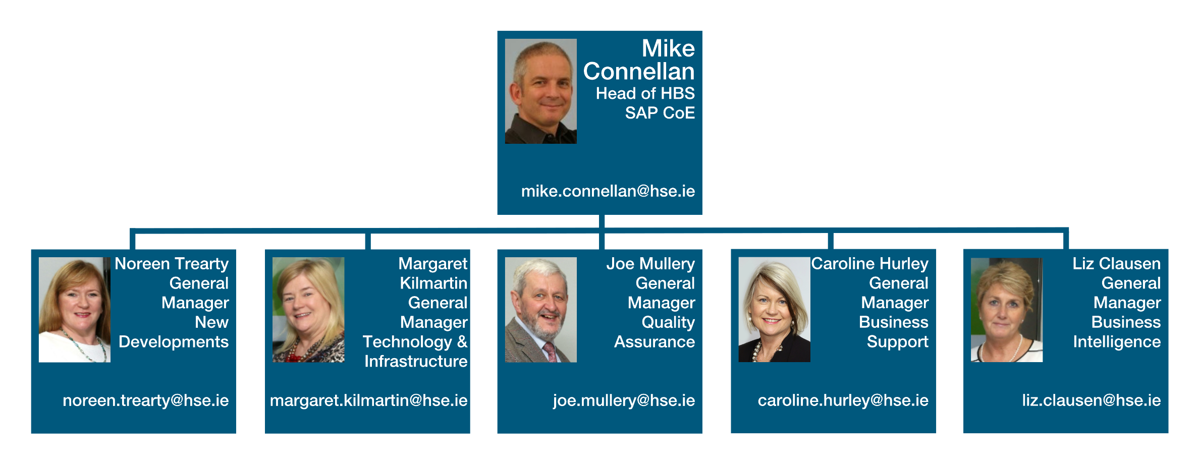 HBS SAP CoE Mgmt Structure 20.8.2020 HBS SAP CoE Mgmt Structure 20.8.2020