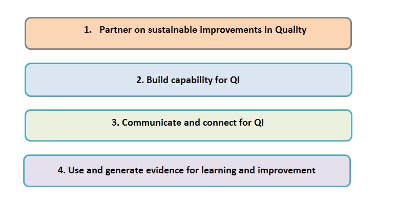 Nat QI Team Objectives Pic Nat QI Team Objectives Pic