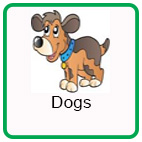 Safety around Dogs Safety around Dogs