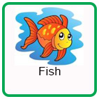 Safety around Fish Safety around Fish