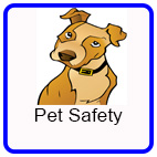 Safety around Pets Safety around Pets