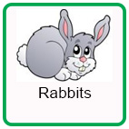 Safety around Rabbits Safety around Rabbits