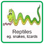 Safety around Reptiles Safety around Reptiles