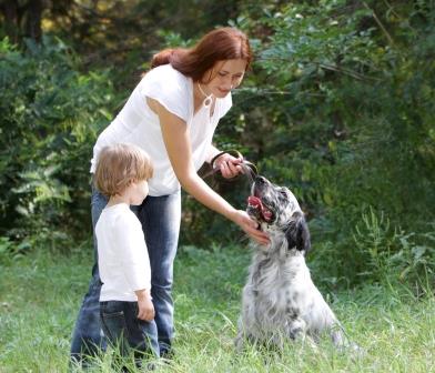 Safety around dogs Safety around dogs