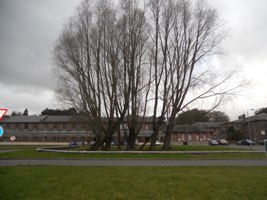Blackwater House, St. Davnet's