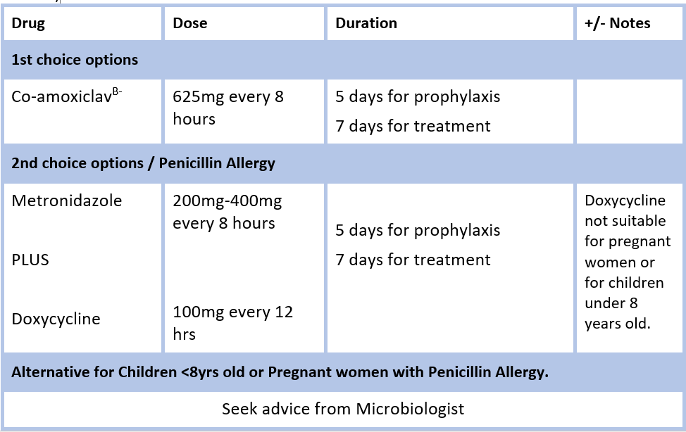 Animal And Human Bite Antibiotic Prescribing HSE ie