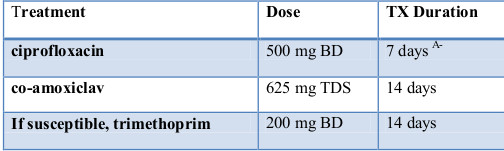 Acute Pyelonephritis treatment 2019 Acute Pyelonephritis treatment 2019