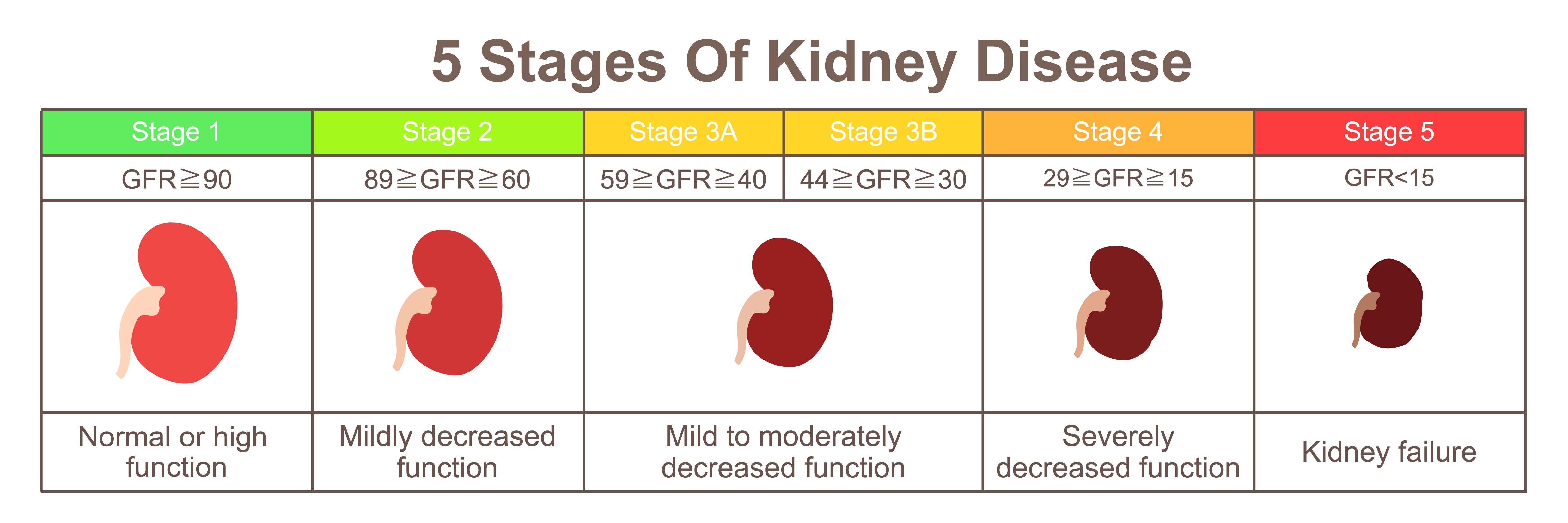 5 stages of kidney disease image 5 stages of kidney disease image