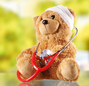 teddy