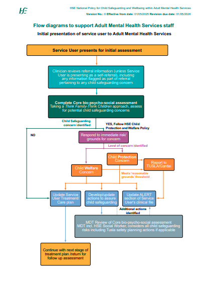 Image of Flow Diagram 1 to explain the end-to-end process