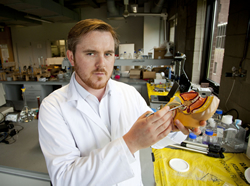Dr Niall Kelly, University of Limerick researcher