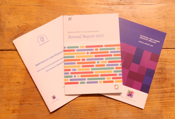 Annual Reports 2017 launch Annual Reports 2017 launch